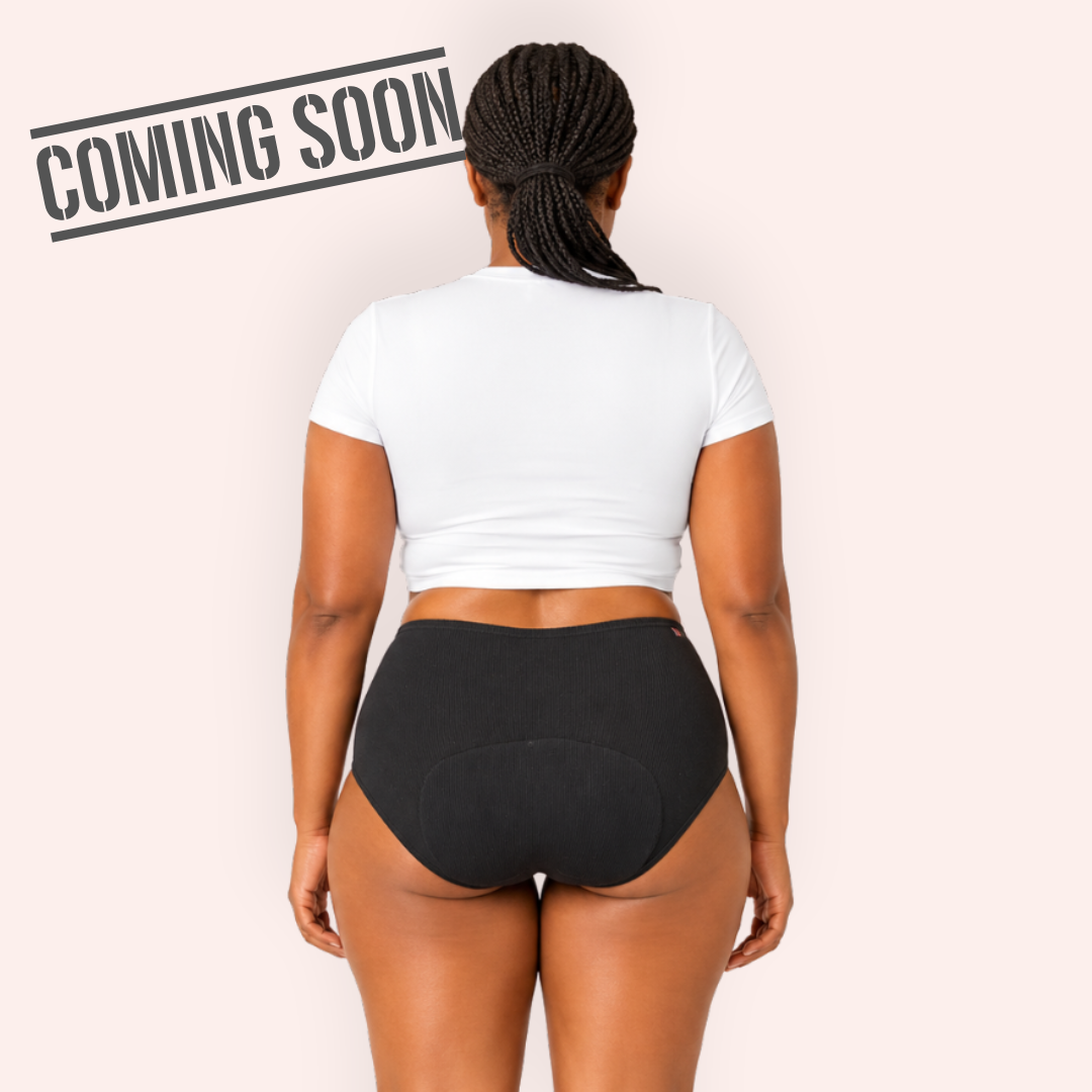 Period Panties Brief Style