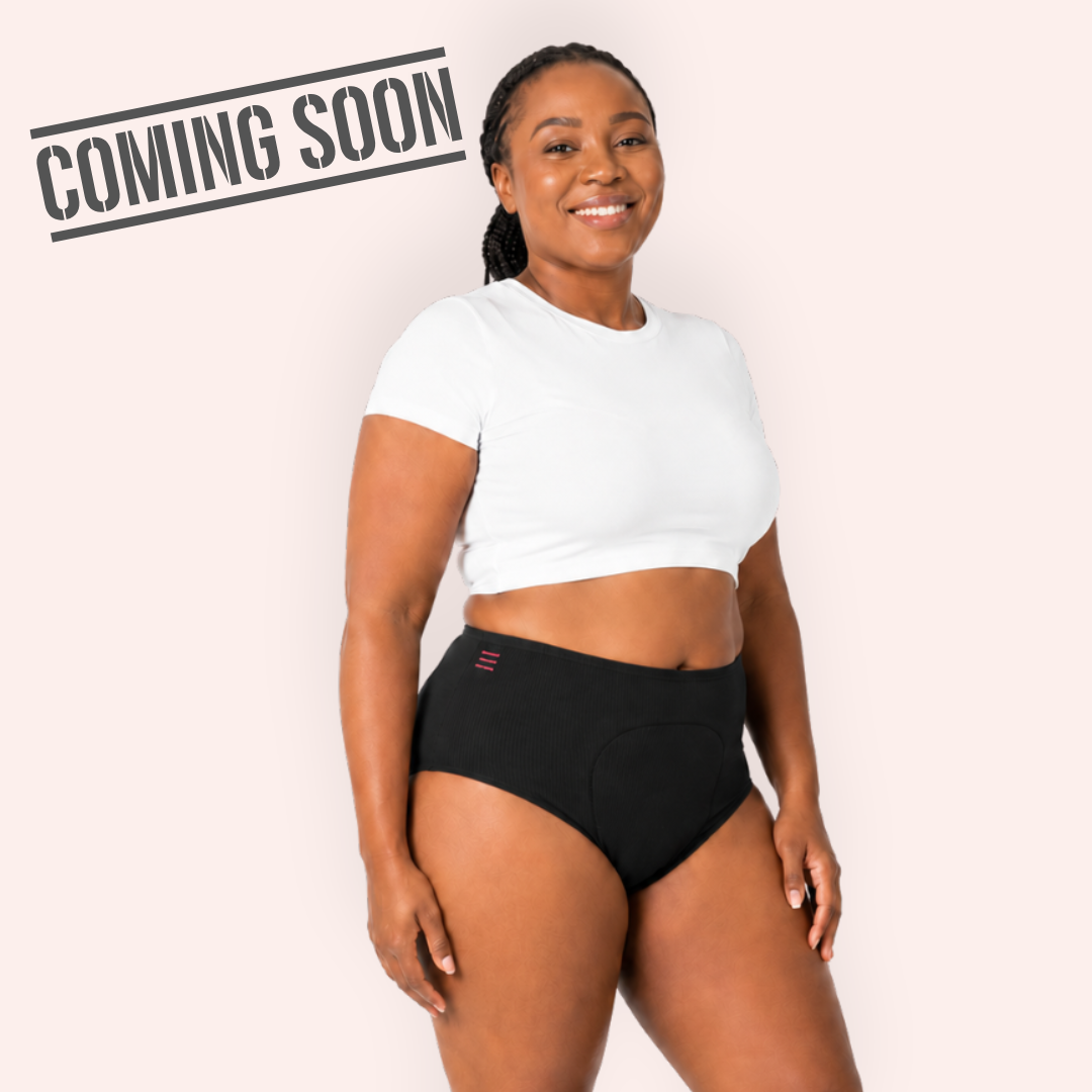 Period Panties Brief Style